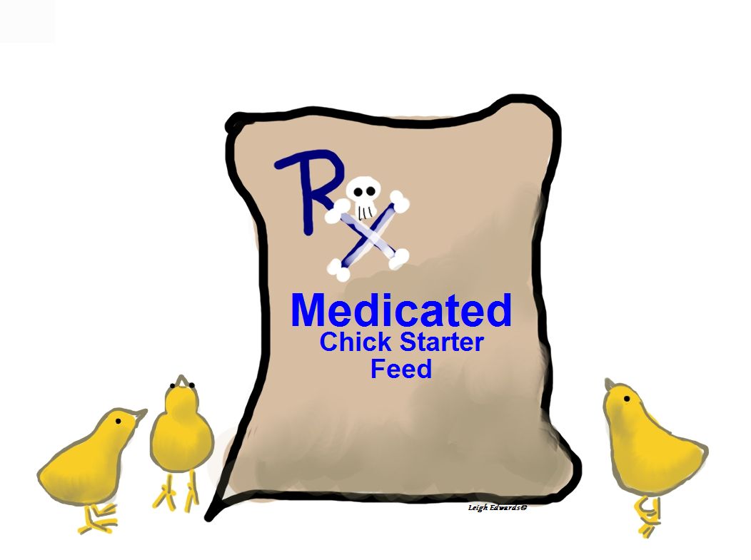 Natural Chicken Keeping Natural from the Start Medicated Chick Feed?