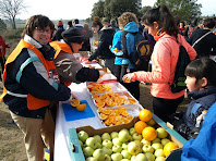 El darrer avituallament de la caminada curta a prop del mas de Les Oliveres El darrer avituallament de la caminada curta a prop del mas de Les Oliveres