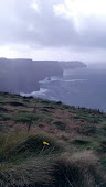 Cliffs of Moher