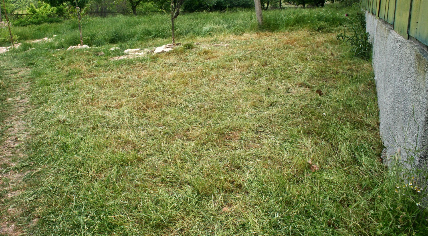 The first day of scything is done The first day of scything is done