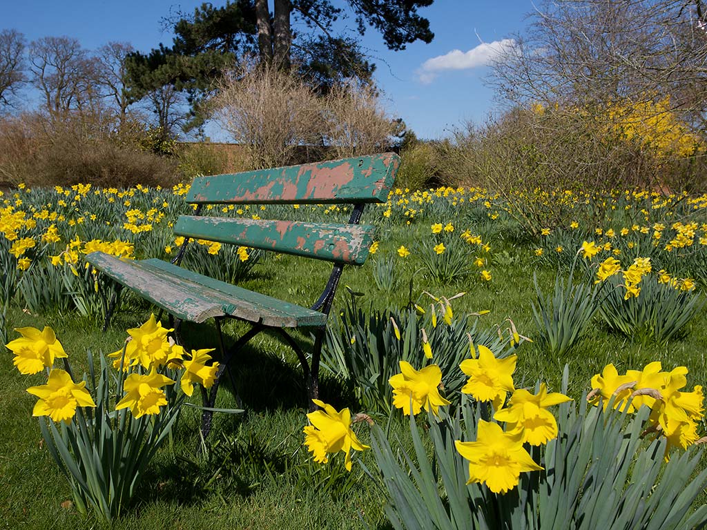 Free Spring Screensaver e Wallpaper Free Spring Screensaver e Wallpaper