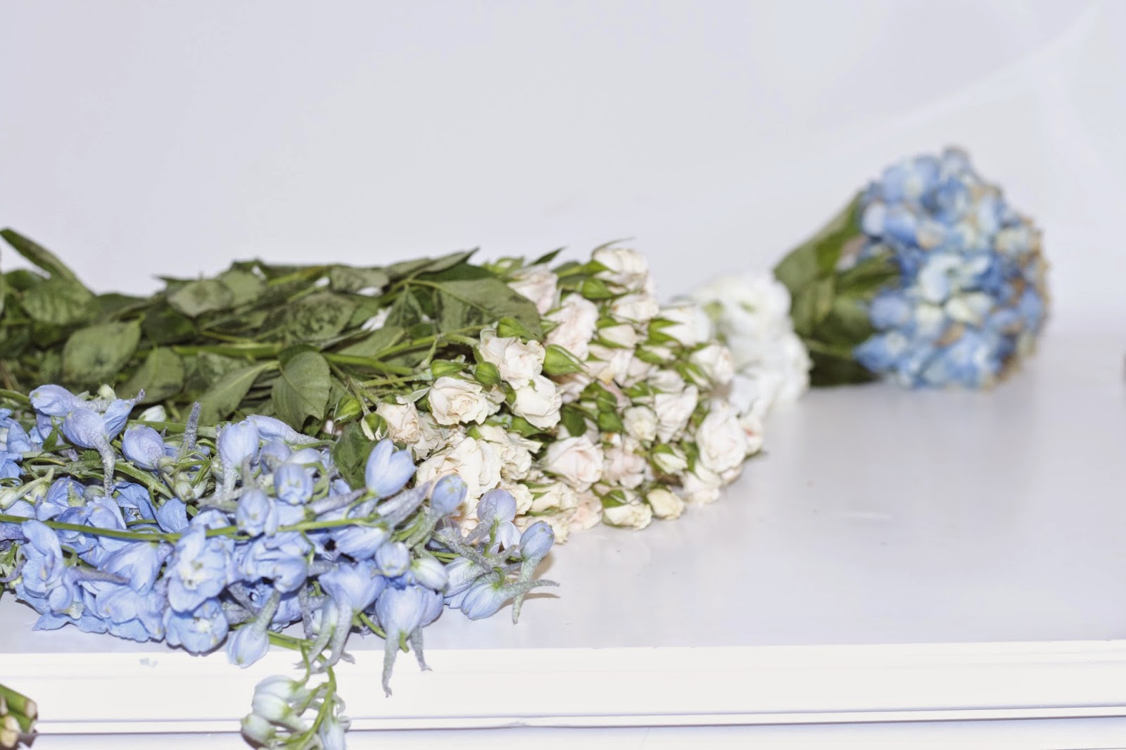 Botanic Bleu Hydrangeas Favorite Shade Of Blue