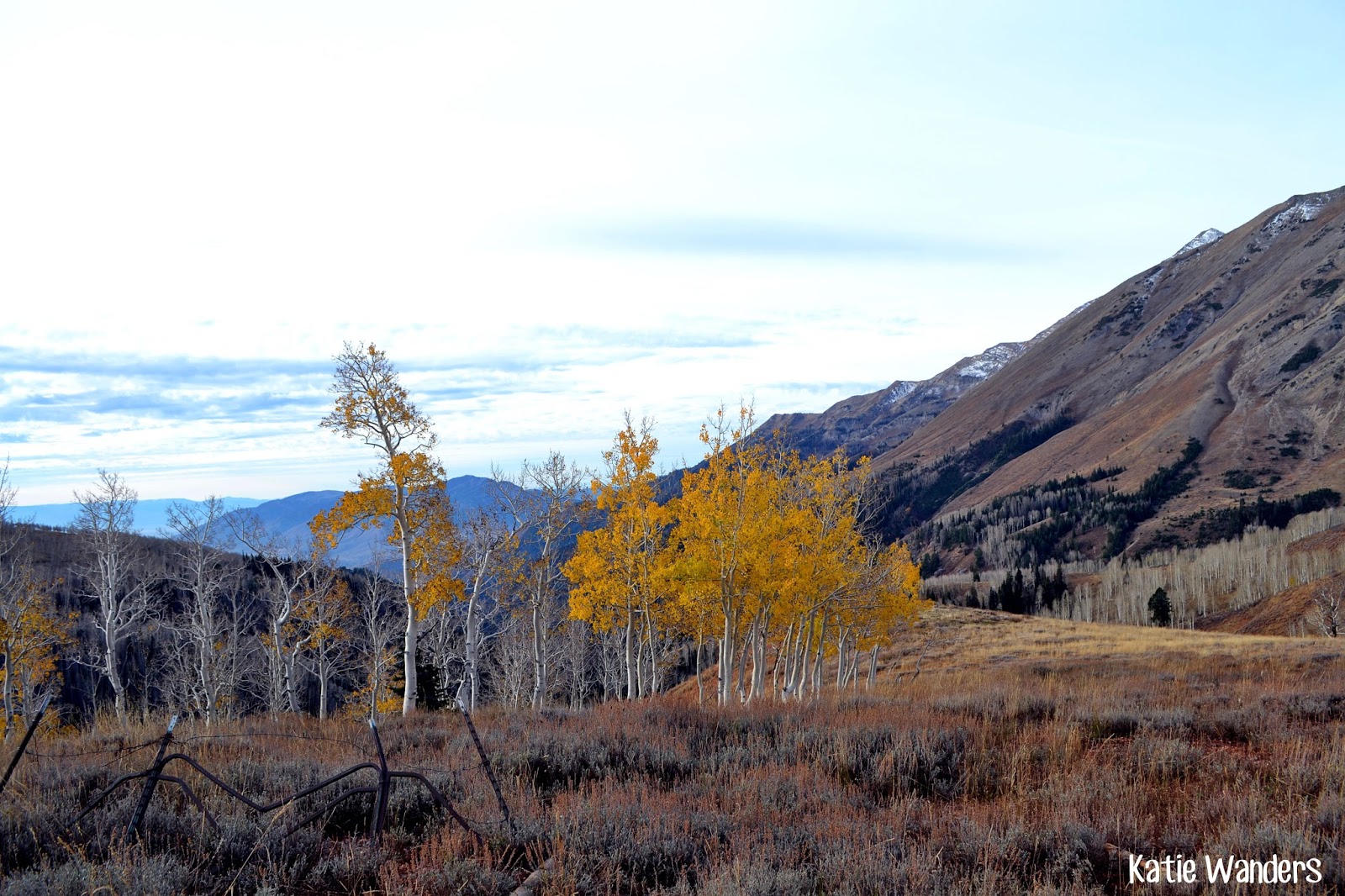 Katie Wanders Hike to Mount Nebo (Middle Peak)