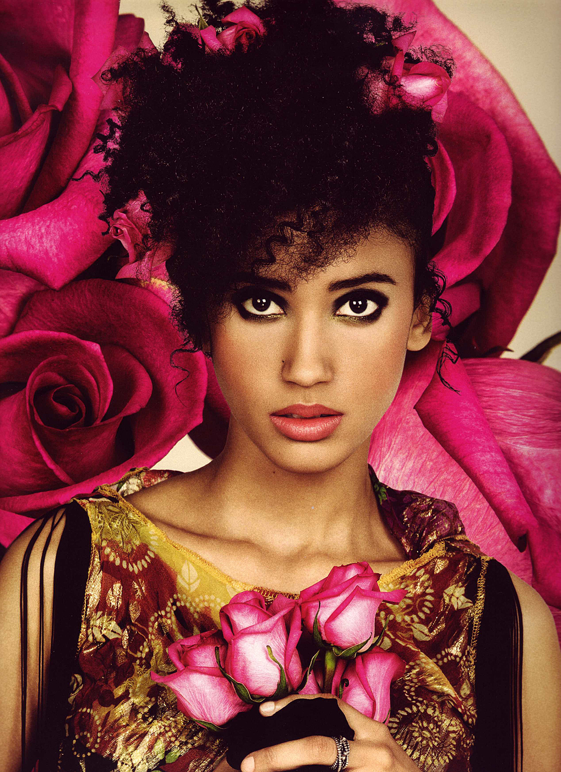 Cliquez pour agrandir