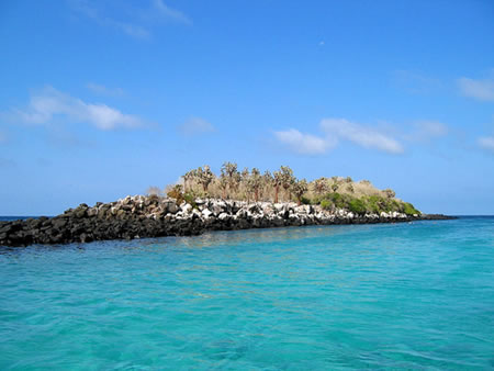 The Galapagos Archipelago is situated 800 kilometers west of the Ecuadorian