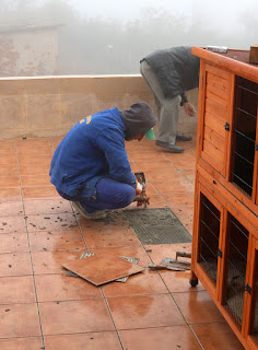 Replacing the loose tiles Replacing the loose tiles
