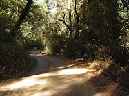 Jarvis Road Santa Cruz