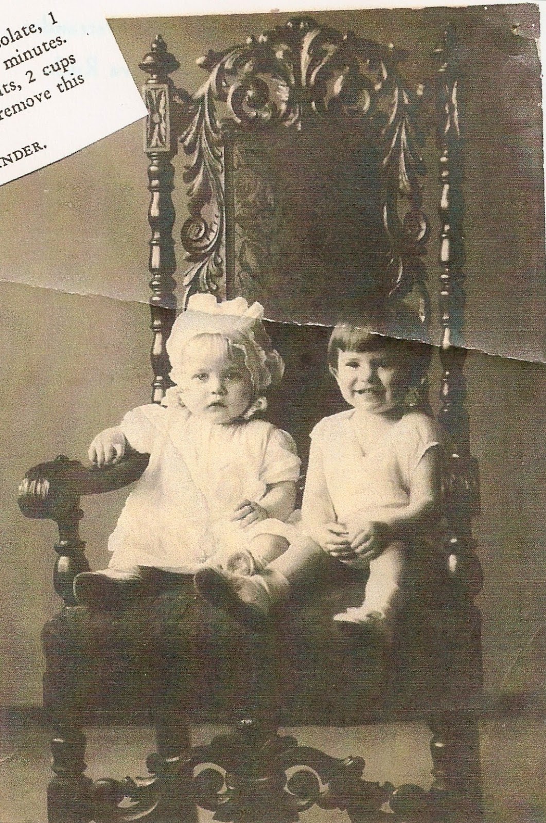 Vintage Irvington The Ostranders Settle Along Audubon Road