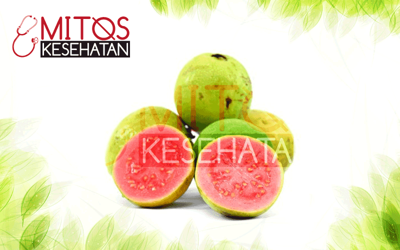 Mitos Mengenai Jambu Biji Mitos Mengenai Jambu Biji