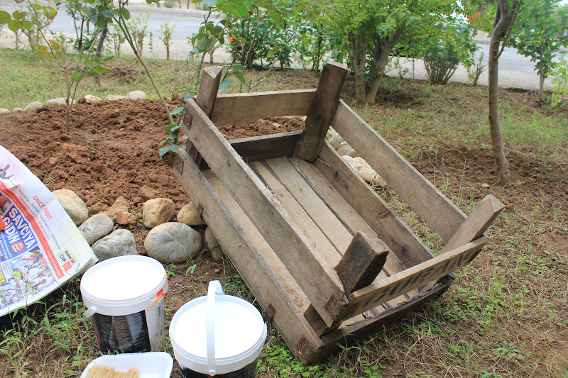 Begonvilli Ev Eski manav kasasından bahçe dekoru