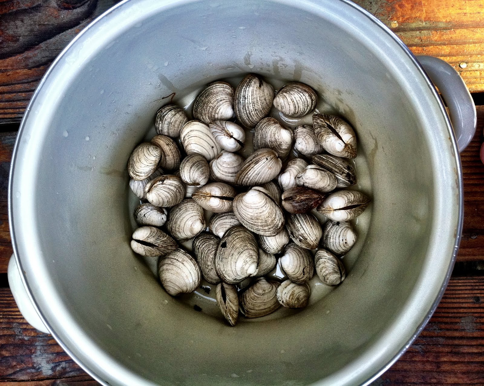 Grear steamer clams recipe from one of the coolest Alaskan chics I know