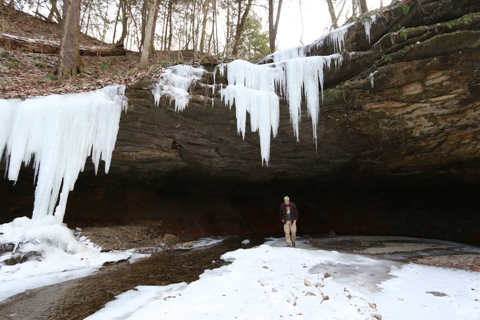 Nomadic Newfies Turkey Run State Park on Ice