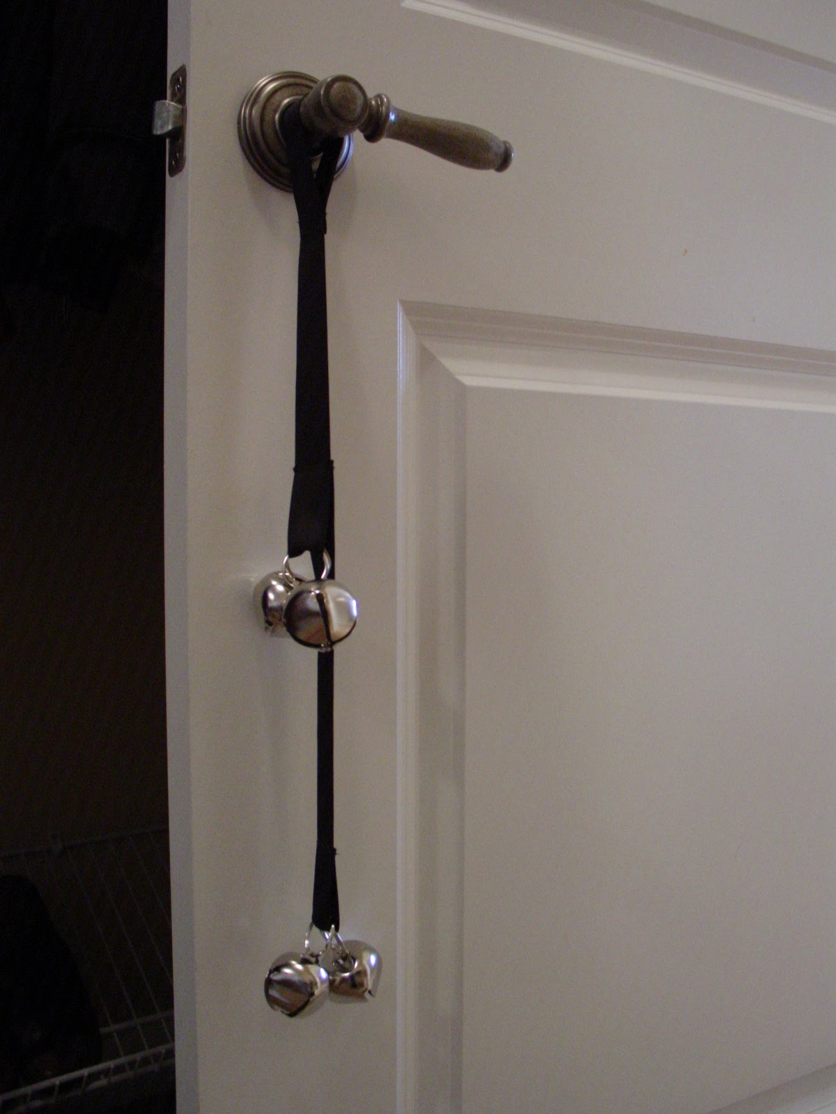 How to Bell Train Your Dog to Go Outside Rachel Teodoro