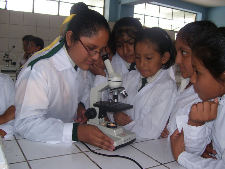 Alumnas trabajando en laboratorio