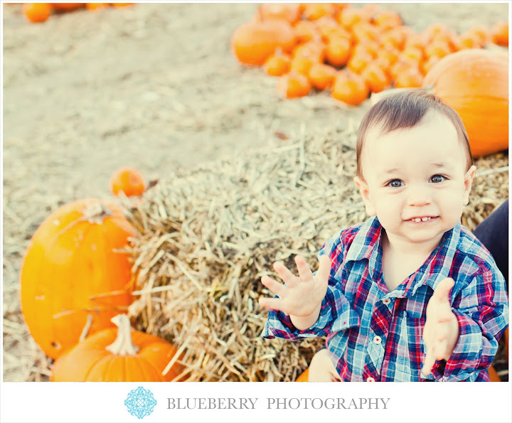 San Francisco adorable baby pumpkin patch photography