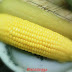 Kisah Jagung