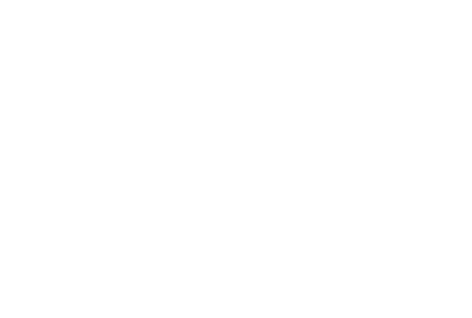 Karina Paviotti Diagramação