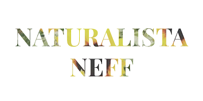 Naturalistaneff Lois The Hair Typing System