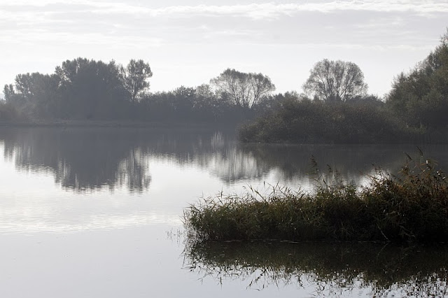 Altmühlsee Altmühlsee am morgen