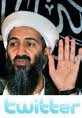 Osama Bin Laden’s Death - Twitter
