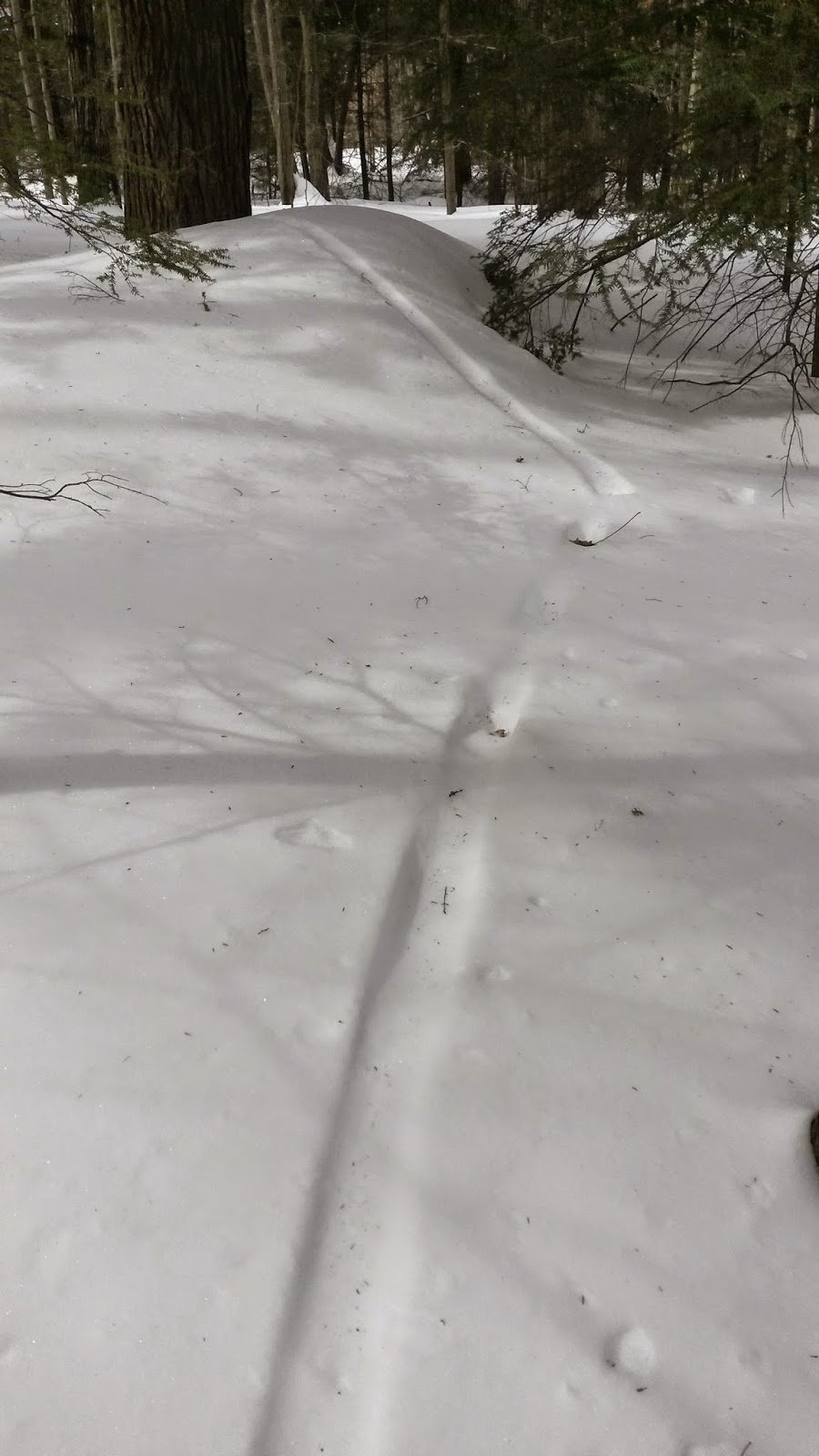 Berkshire Hiker Private Trails at Otis Woodlands, Otis