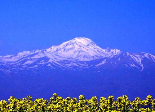 Landmarks In Iran