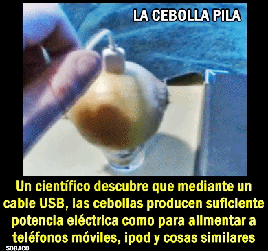 noticias-cebollas-pilas-eléctricas