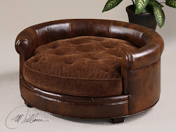 Lucky Pet Bed - I would say Lucky!