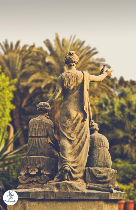 Three Ladies & A Hoopoe - Y&Y Photography Three Ladies & A Hoopoe - Y&Y Photography