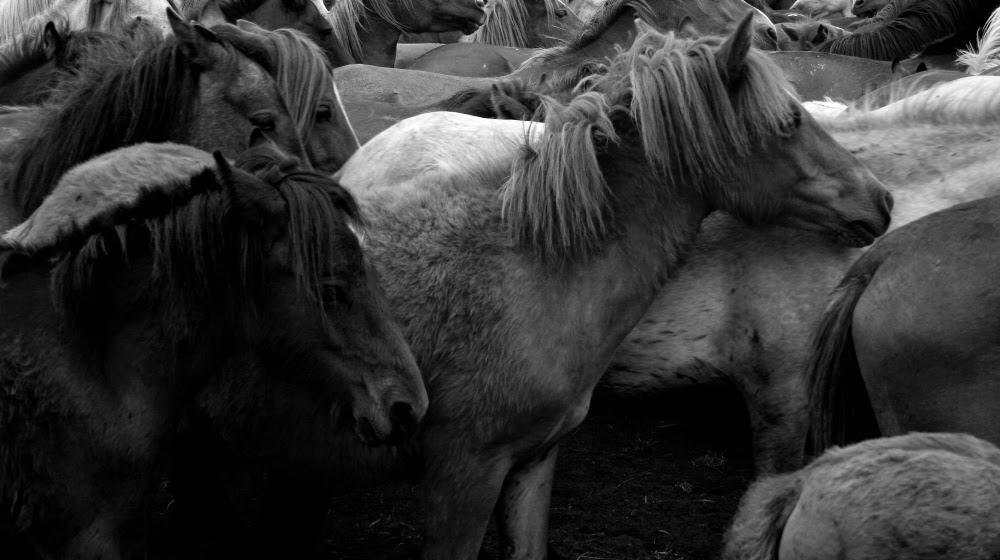 Fotografía creativa artística en blanco y negro por Munimara