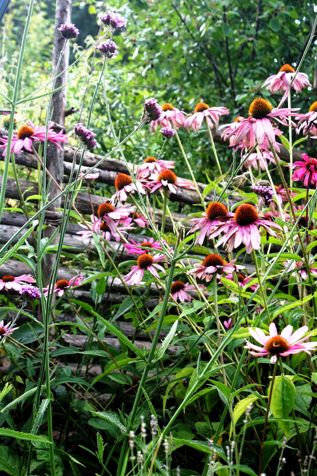 Skogstorpet trädgårdsdesign [gardendesign landscaping ...