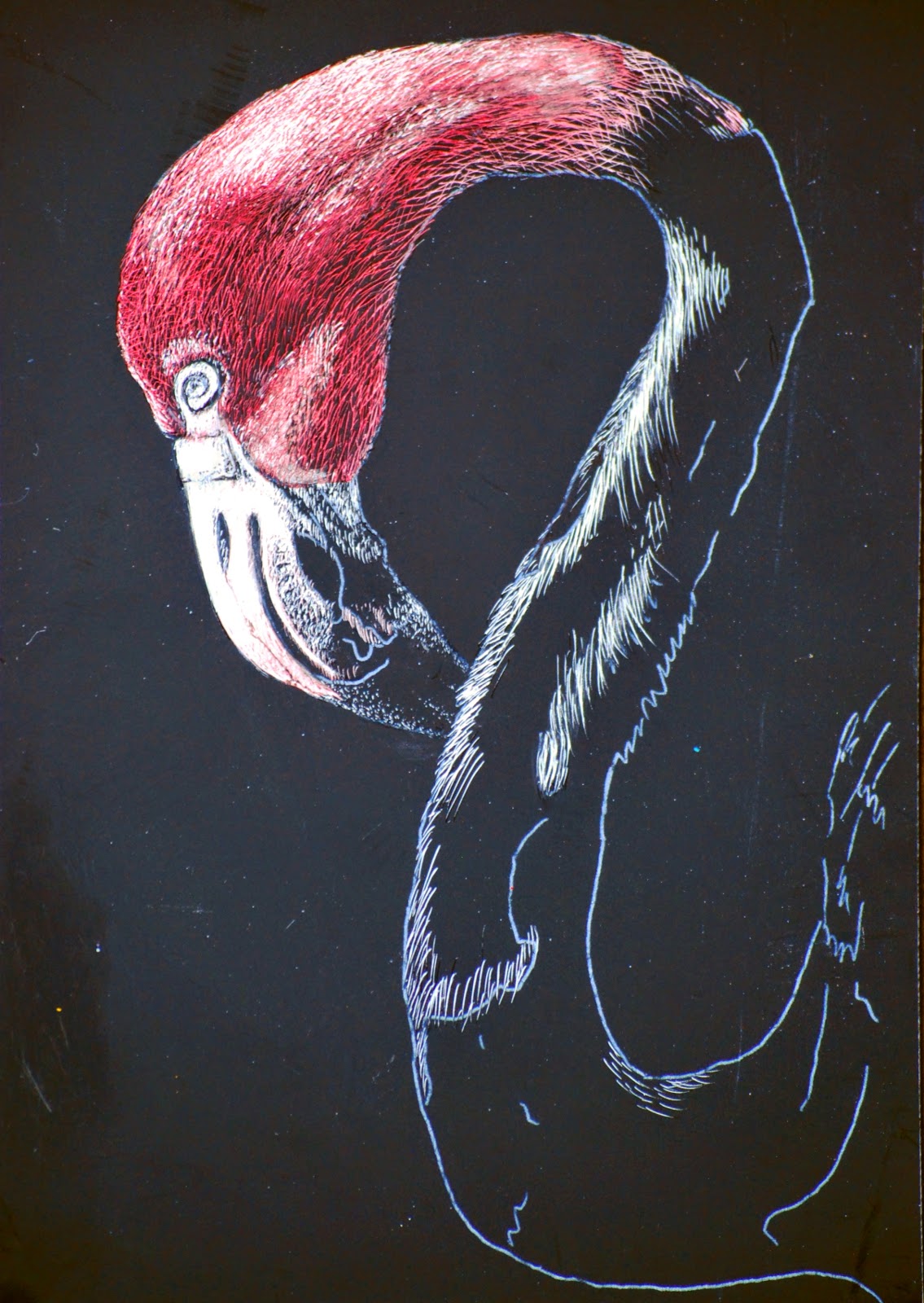 Kate's Classes Scratchboard and Pen & Ink Sertoma (August 2014)