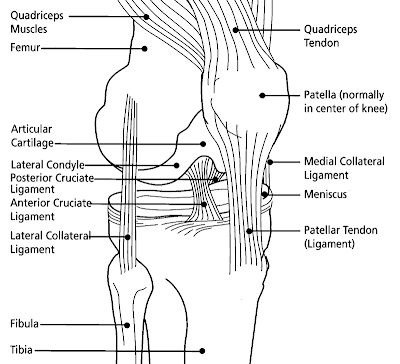 ICD 9 Code For Knee Pain