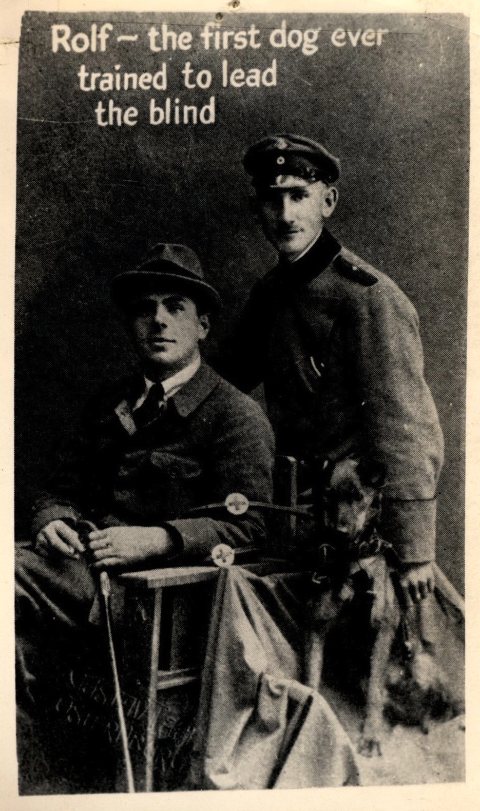 rolf dog