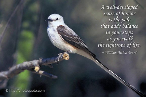 Funny Pictures Gallery: Bird quotes sayings, bird quotes and sayings