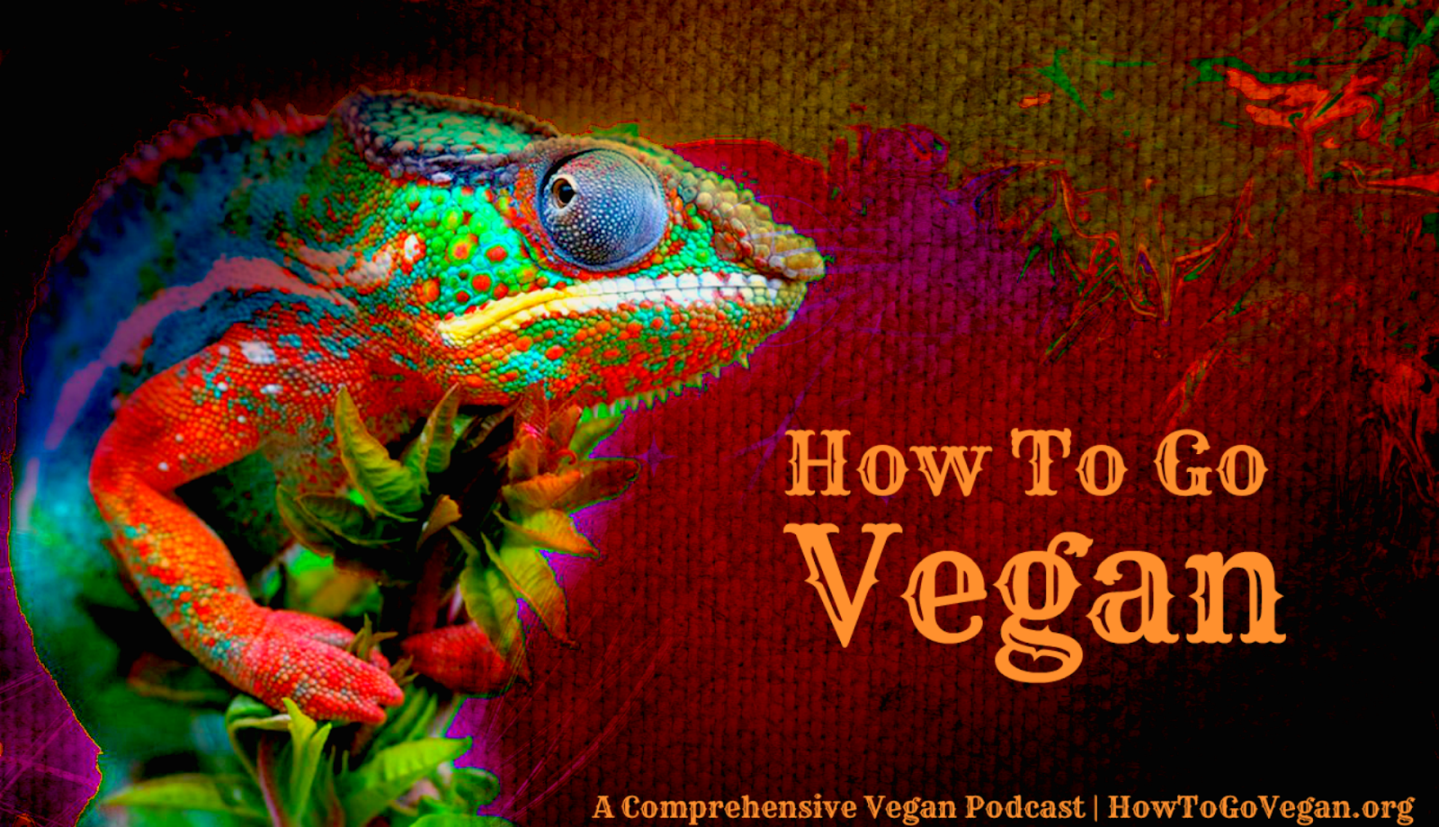 How To Go Vegan: A Comprehensive Vegan Podcast