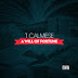 Album: T. Calmese "A Will of Fortune"