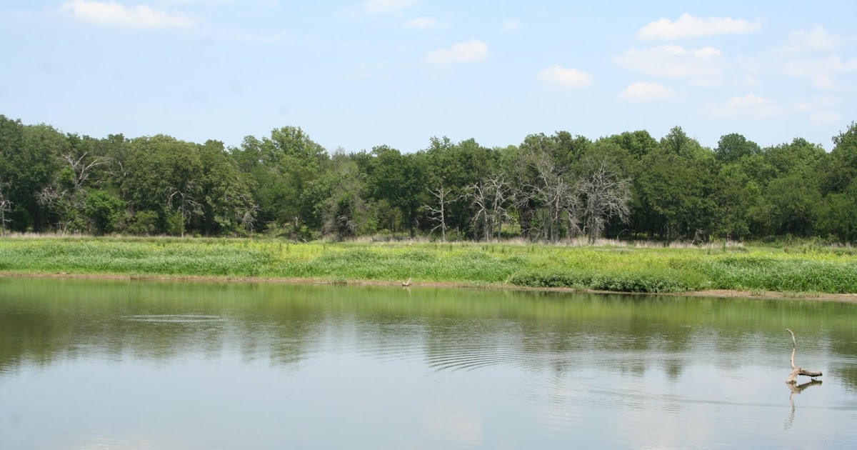 Discover Oklahoma Best Kept Secrets Arbuckle Lake