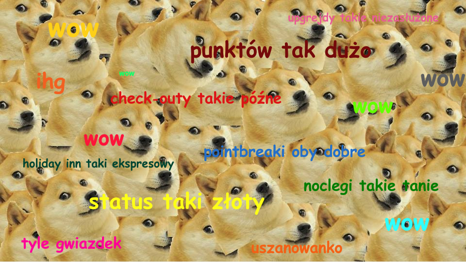 pieseł hotelowy ihg doge big win hotel spotter