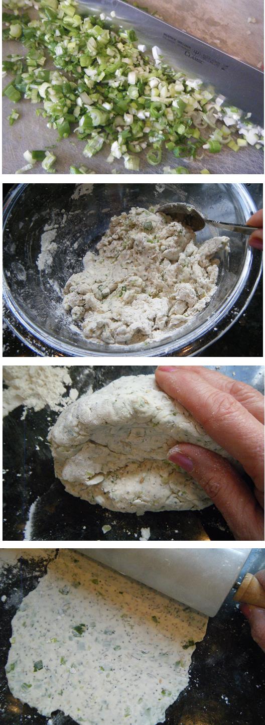 Nutrition Budgeteer Homemade Green Onion Crackers are sure to impress