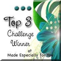 Top 3 winner at made especially for you  30/04/2012