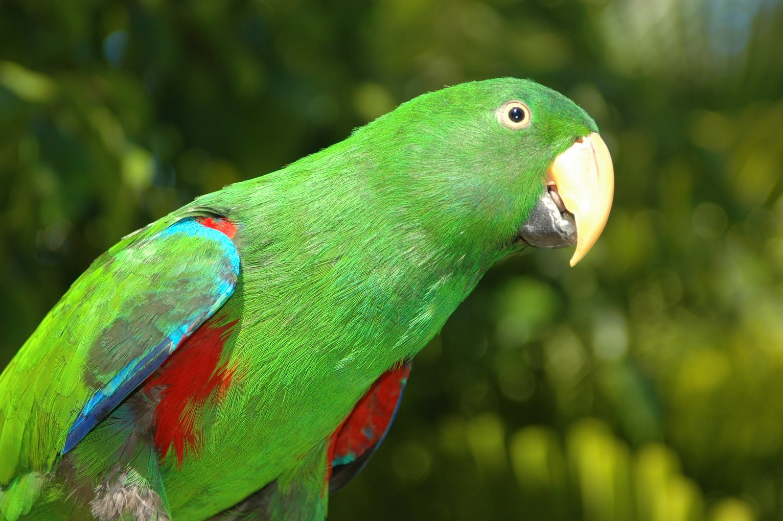 October 2012 - True Wildlife Creatures