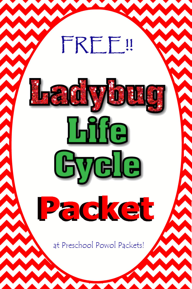 free ladybug life cycle packet preschool powol packets