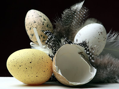 The Versatility of Eggs and Happy Easter The Versatility of Eggs and Happy Easter