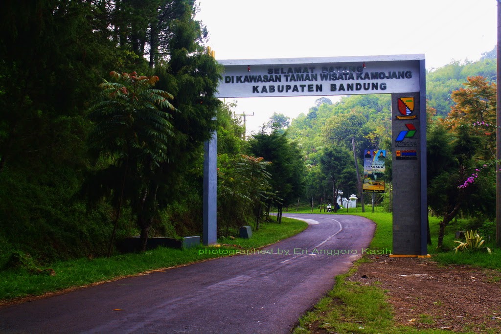 Sensasi Sauna Alami di Kawah Kamojang Kabupaten Bandung ...
