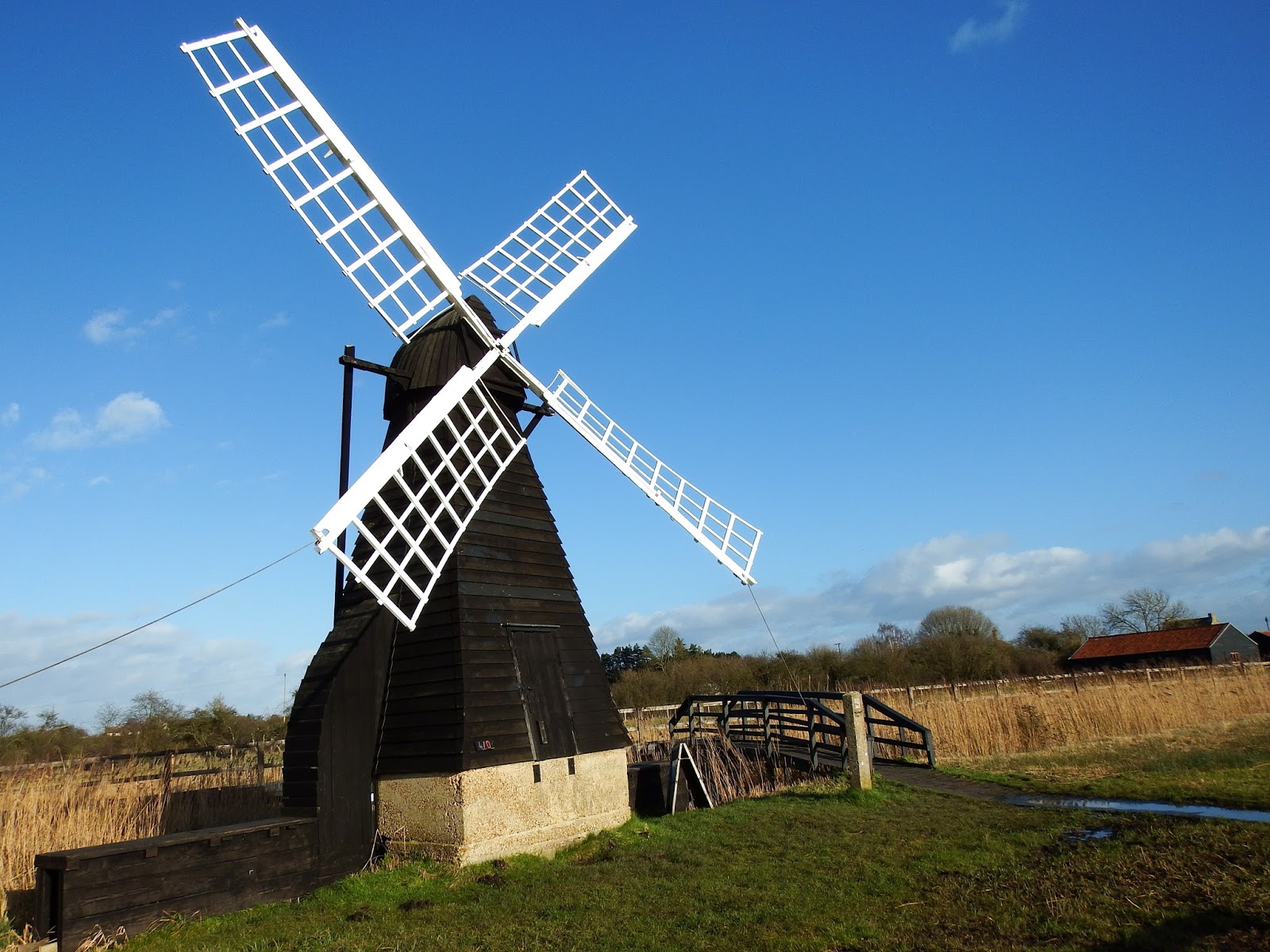 Wicken Fen