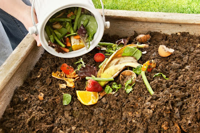 Compost para principiantes