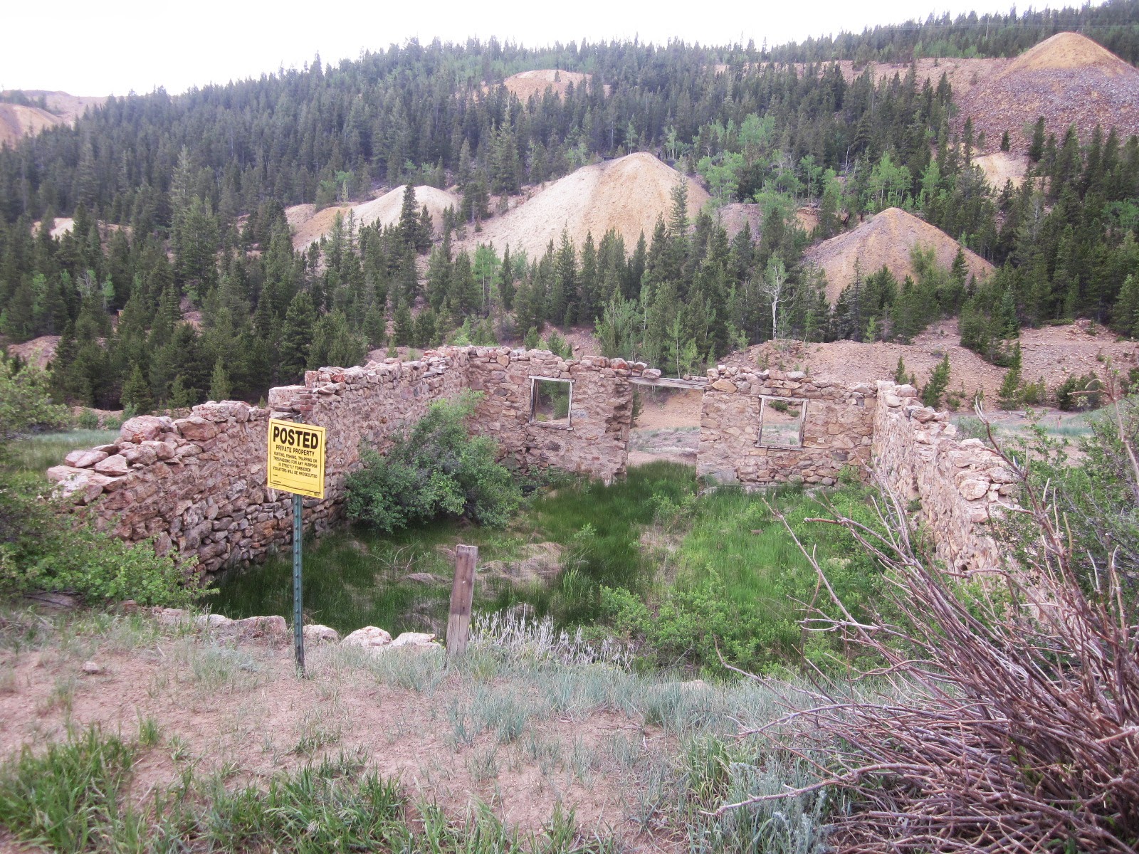 Okay, here is a 1,200-word journalistic article about Nevadaville, Colorado.
