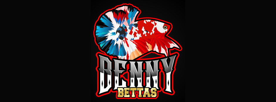 Bênny Bettas de Linhagem