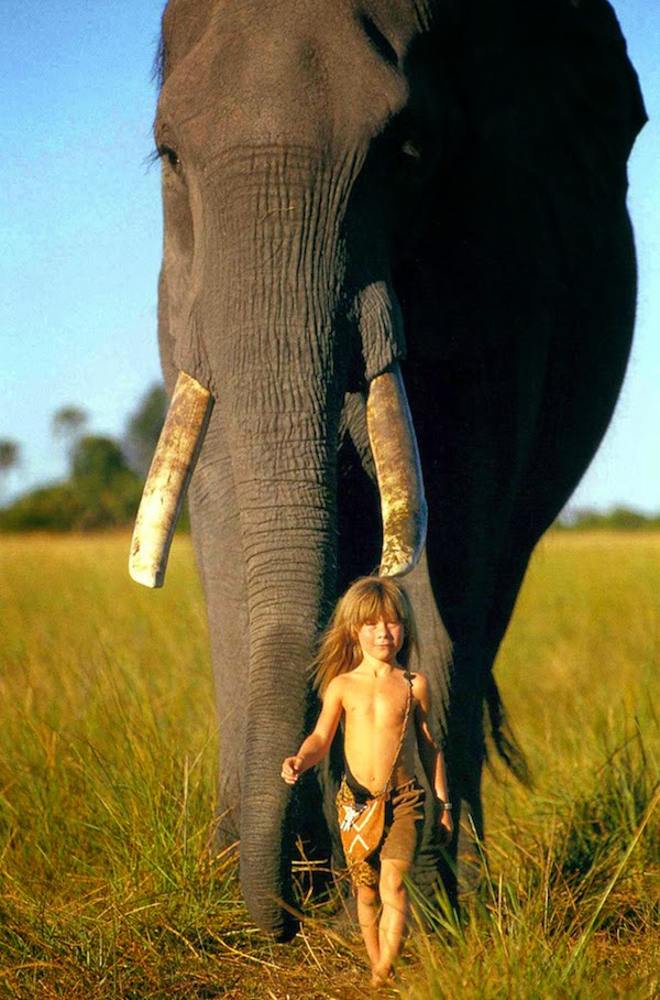 Breathtaking Photos Of A Little Girl 'Tippi' Growing Up Alongside Wild Animals in Southern Africa. Breathtaking Photos Of A Little Girl 'Tippi' Growing Up Alongside Wild Animals in Southern Africa.